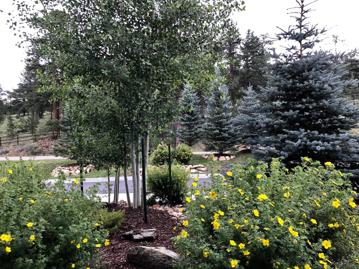 Fish Creek Estes Vacation Home Front Porch
